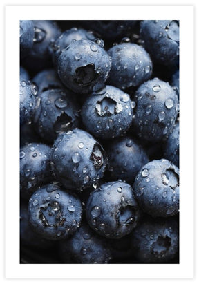 Fresh Blueberries Poster