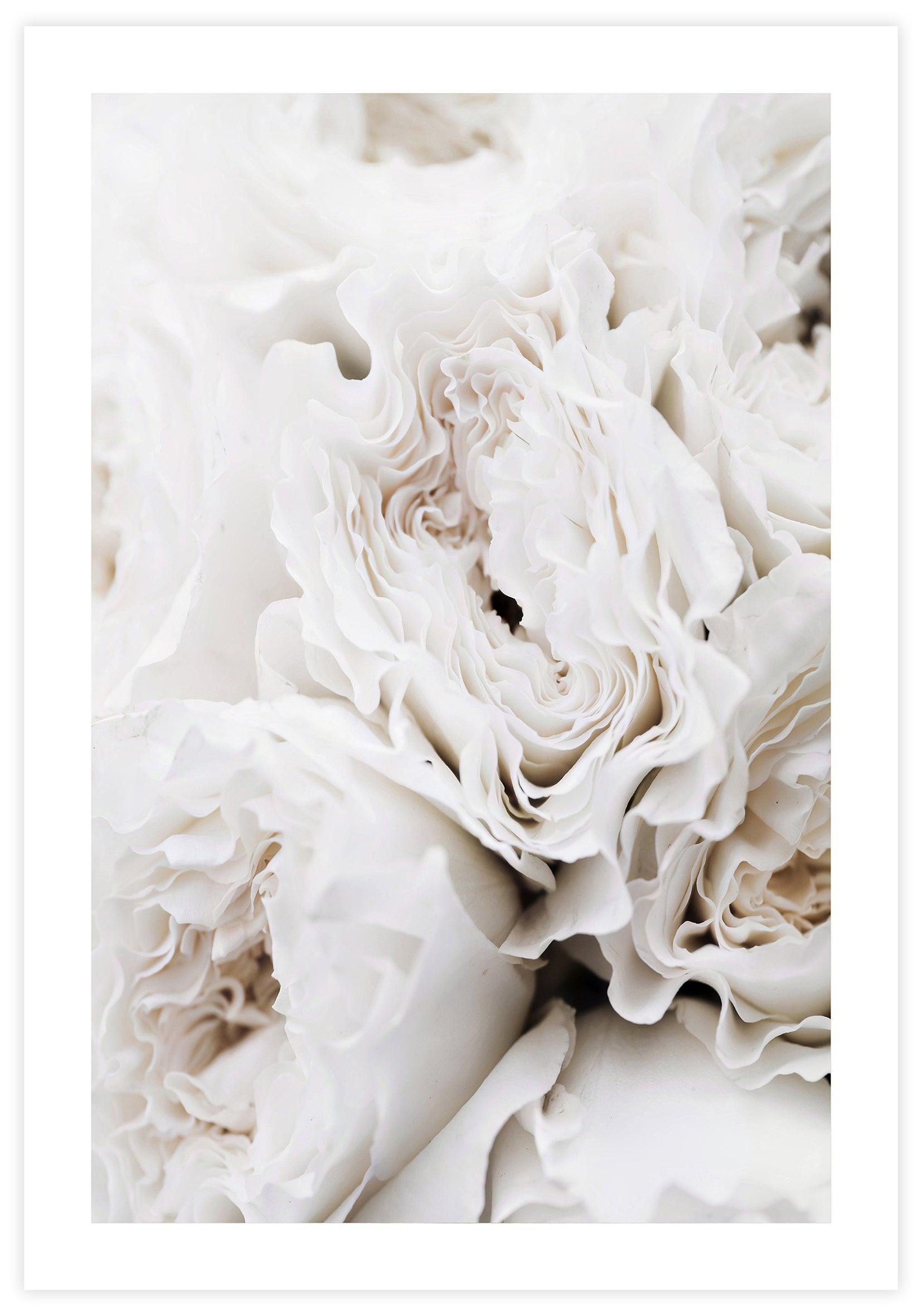 White Petals Poster