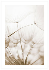 Dandelion Seeds Poster - KAMAN
