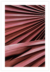 Red Palm Poster
