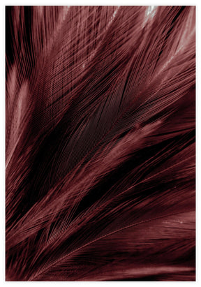 Red Feather Poster