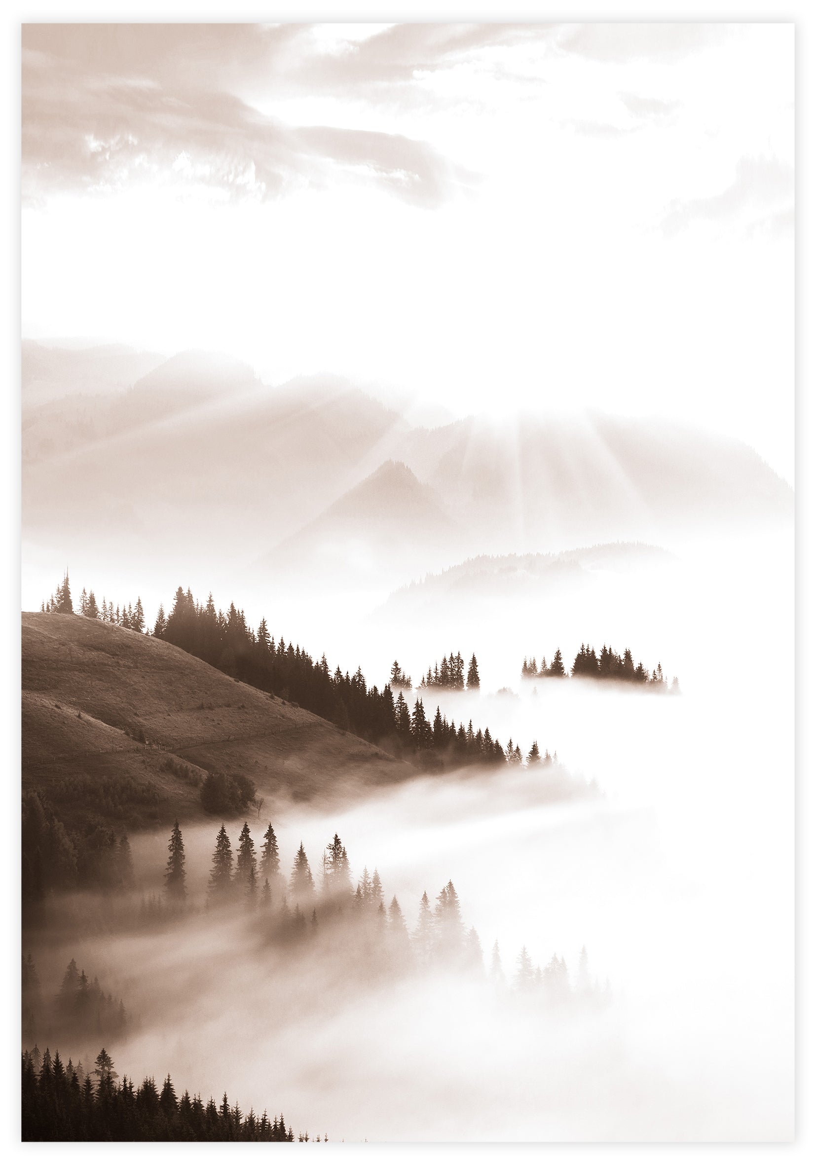 Foggy Forest Poster