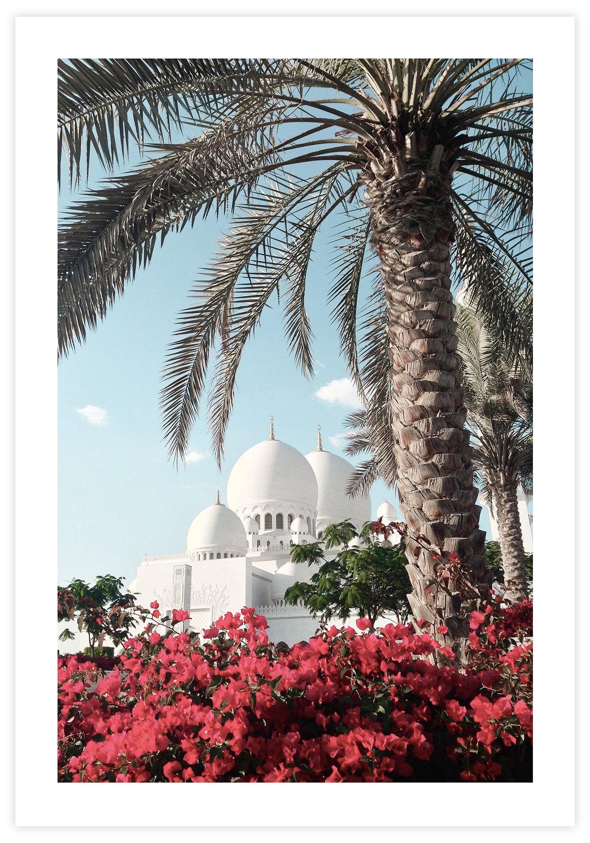 Sheikh Zayed Flowers Poster