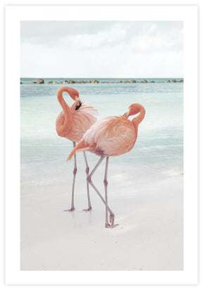Flamingo Poster - KAMAN