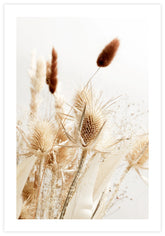 Dried Grass no2 Poster
