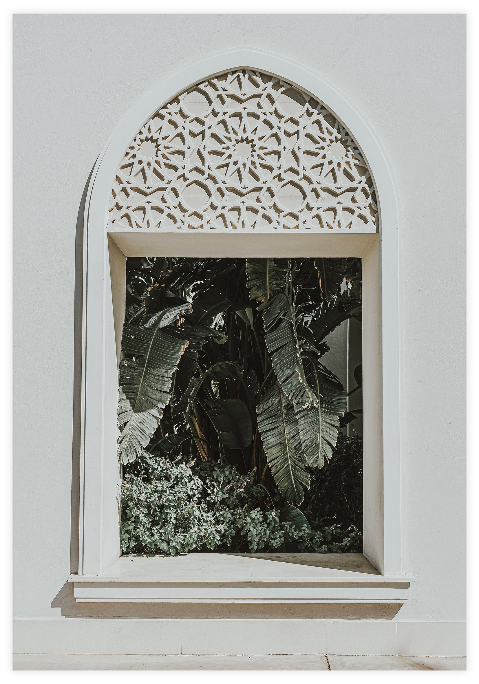 Window With Plants Poster