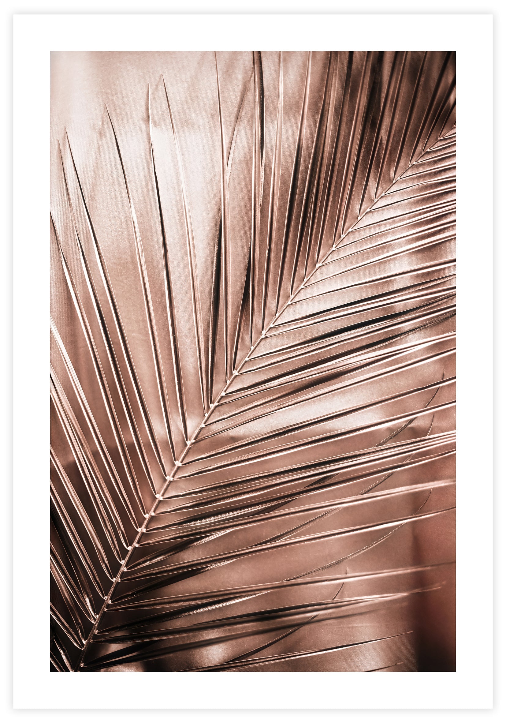 Rose Palm Poster