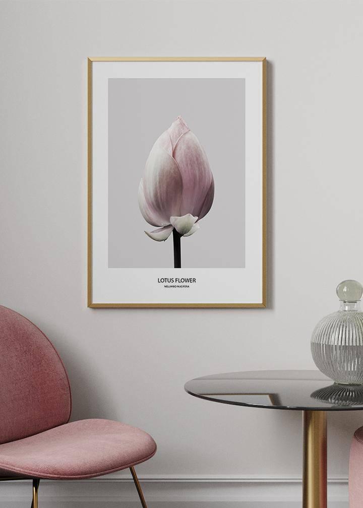 Lotus Flower Poster - KAMANART.DE
