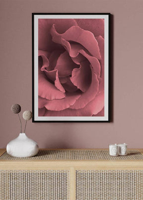 Pink Rose Poster - KAMANART.DE
